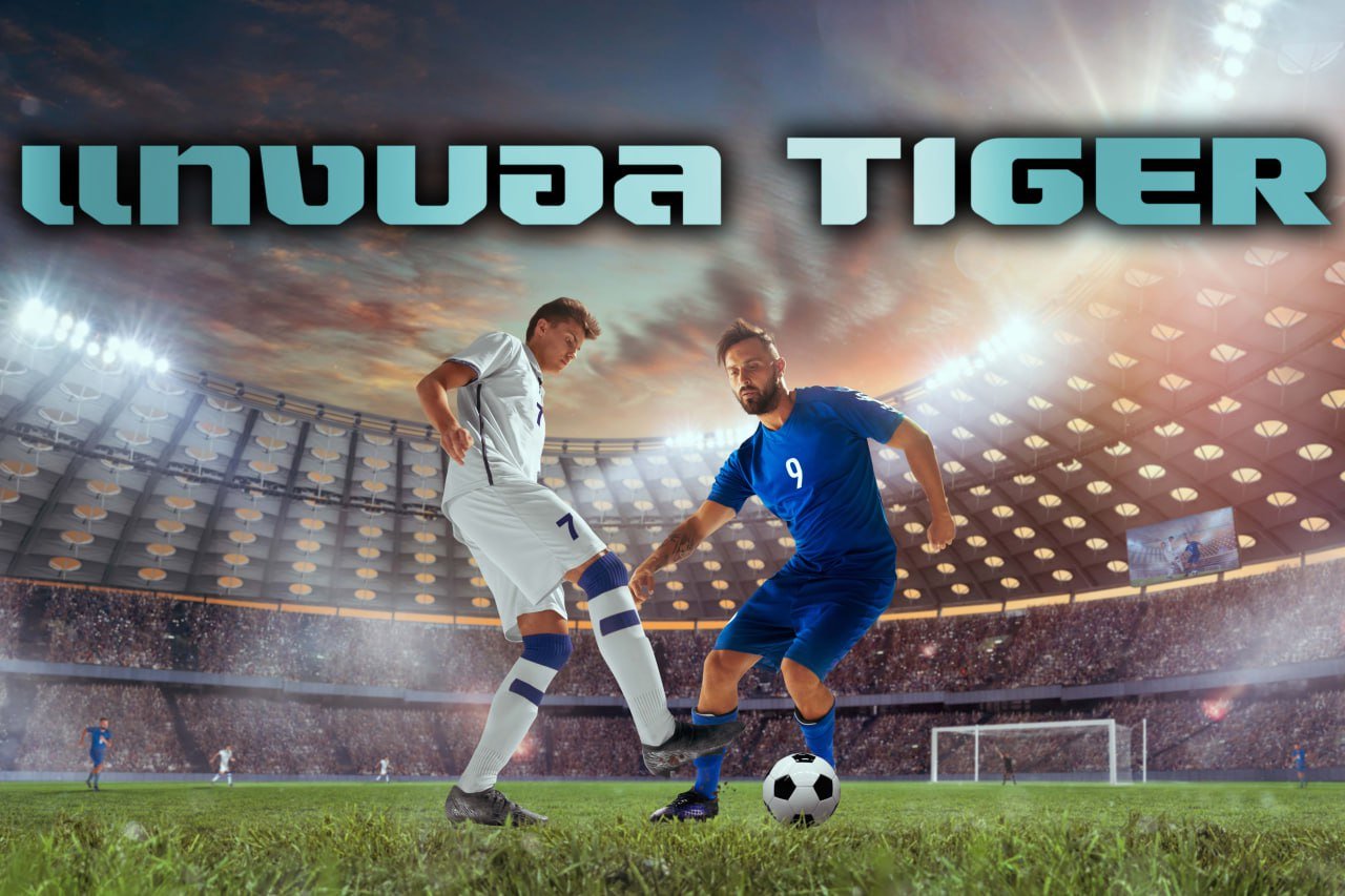 แทงบอล tiger