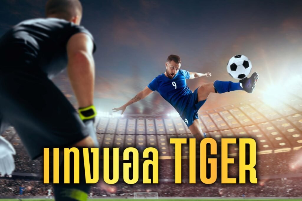 แทงบอล tiger