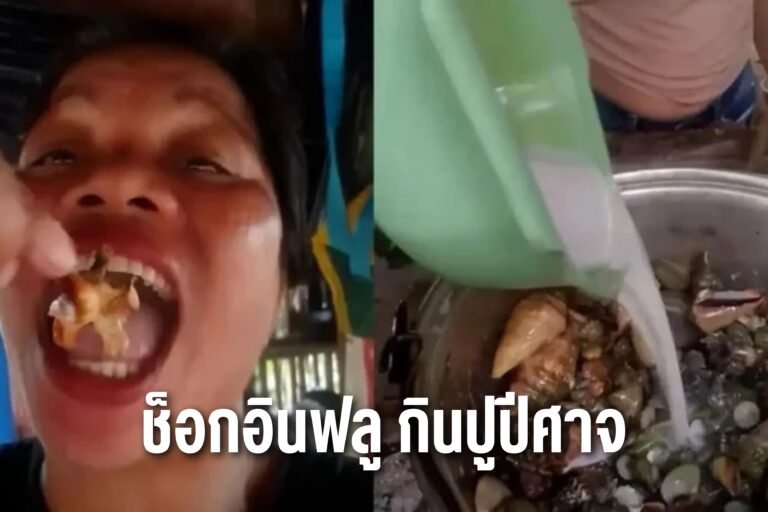 ช็อกอินฟลู กินปูปีศาจ