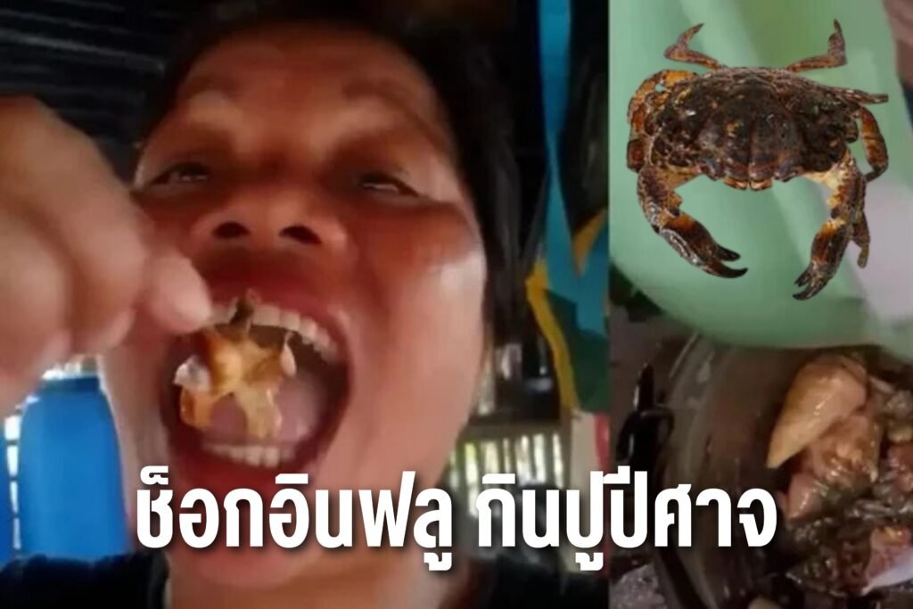 ช็อกอินฟลู กินปูปีศาจ